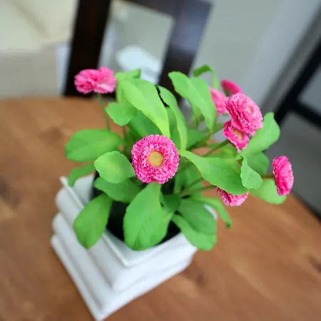 Apartament Sea Pearl